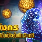 เสือมังกร เกมไพ่ออนไลน์ พร้อมสูตรเล่นตามได้